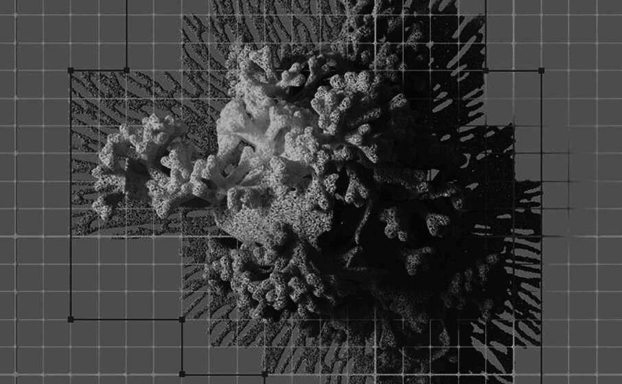 Analysis of up to 450 coins across 18 timeframes — every single minute